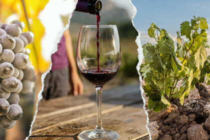 Cartel de la Miniferia de vinos DOP Jumilla de Semana Santa